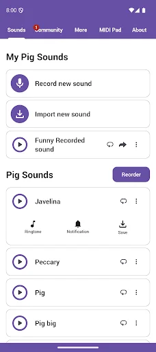Descarga Pig Sounds: La Mejor Caja de Sonidos de Cerditos Gratis - Screenshot 1