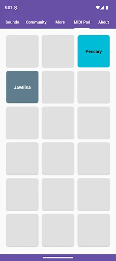 Descarga Pig Sounds: La Mejor Caja de Sonidos de Cerditos Gratis - Screenshot 5