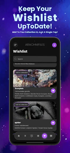 Arachnifiles: Rastreador de Arañas – Cuida tus Exóticos hoy - Screenshot 6