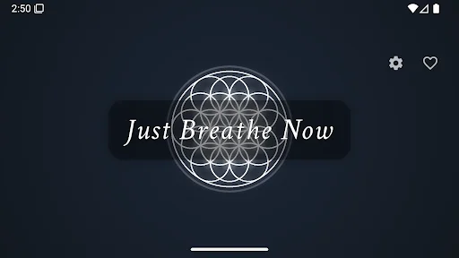 Descarga Just Breathe Now – Ejercicios de Respiración Box Gratis - Screenshot 8