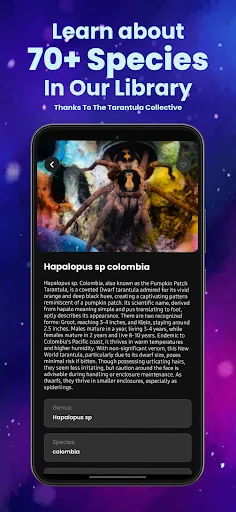 Arachnifiles: Rastreador de Arañas – Cuida tus Exóticos hoy - Screenshot 5