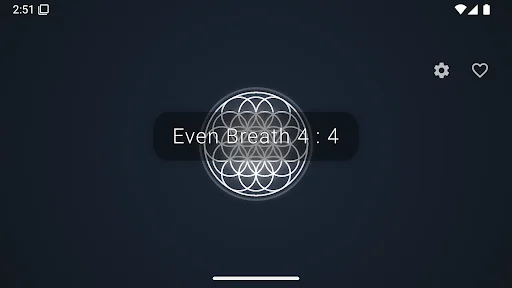 Descarga Just Breathe Now – Ejercicios de Respiración Box Gratis - Screenshot 10