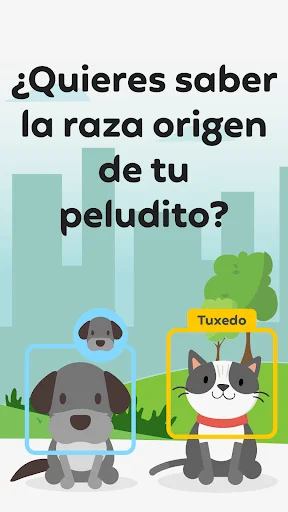Qrarte: Conecta tu Historia a través de Arte y Códigos QR - Screenshot 15