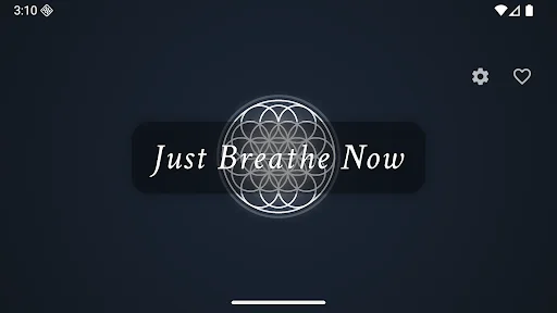 Descarga Just Breathe Now – Ejercicios de Respiración Box Gratis - Screenshot 13