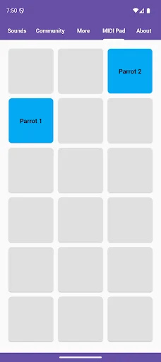 Descarga Parrot Sounds: Melodías Vibrantes y Divertidas – Gratis - Screenshot 5