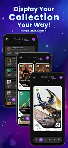 Arachnifiles: Rastreador de Arañas – Cuida tus Exóticos hoy - Screenshot 3