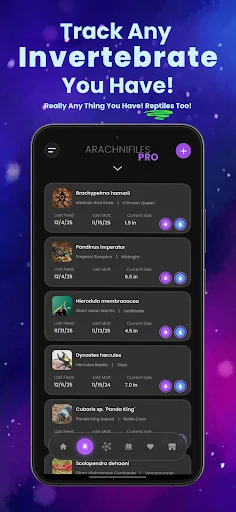 Arachnifiles: Rastreador de Arañas – Cuida tus Exóticos hoy - Screenshot 1