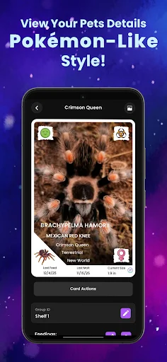 Arachnifiles: Rastreador de Arañas – Cuida tus Exóticos hoy - Screenshot 4