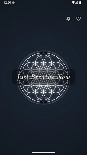 Descarga Just Breathe Now – Ejercicios de Respiración Box Gratis - Screenshot 1