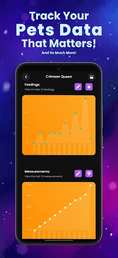 Arachnifiles: Rastreador de Arañas – Cuida tus Exóticos hoy - Screenshot 2